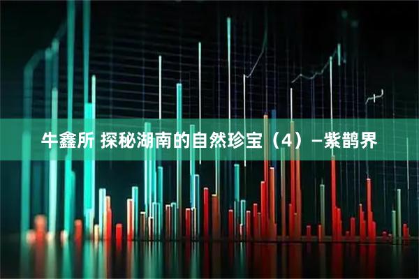 牛鑫所 探秘湖南的自然珍宝（4）—紫鹊界