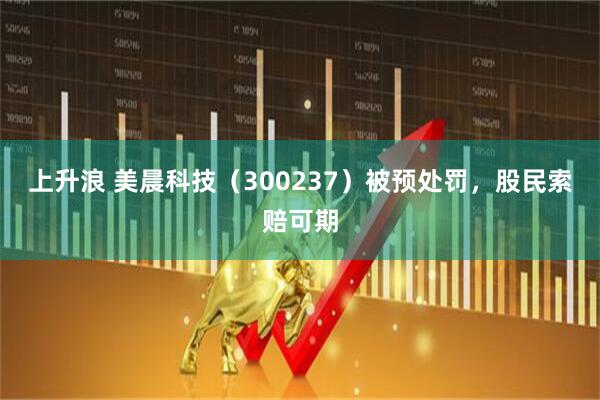 上升浪 美晨科技（300237）被预处罚，股民索赔可期