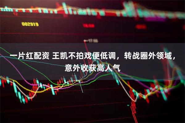 一片红配资 王凯不拍戏便低调，转战圈外领域，意外收获高人气