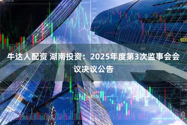 牛达人配资 湖南投资：2025年度第3次监事会会议决议公告