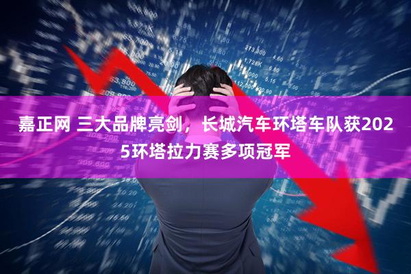嘉正网 三大品牌亮剑，长城汽车环塔车队获2025环塔拉力赛多项冠军