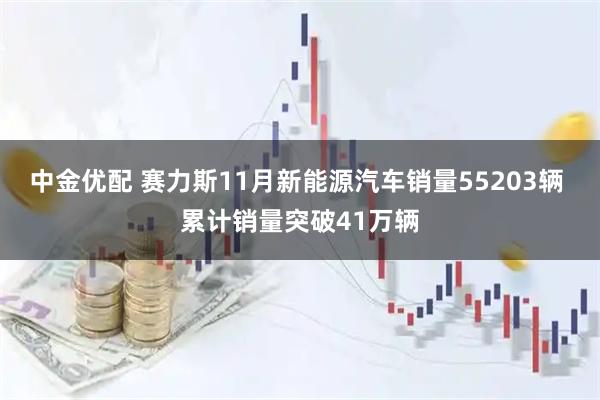 中金优配 赛力斯11月新能源汽车销量55203辆 累计销量突破41万辆
