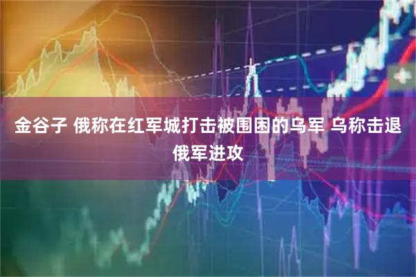 金谷子 俄称在红军城打击被围困的乌军 乌称击退俄军进攻