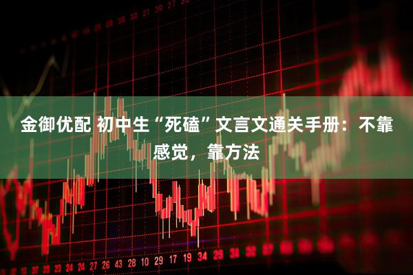金御优配 初中生“死磕”文言文通关手册：不靠感觉，靠方法